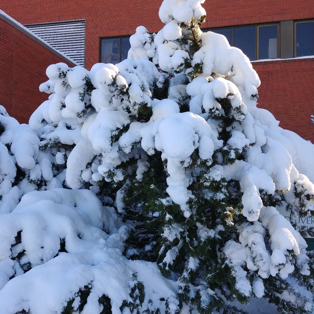 Meet your Posher, Metchie